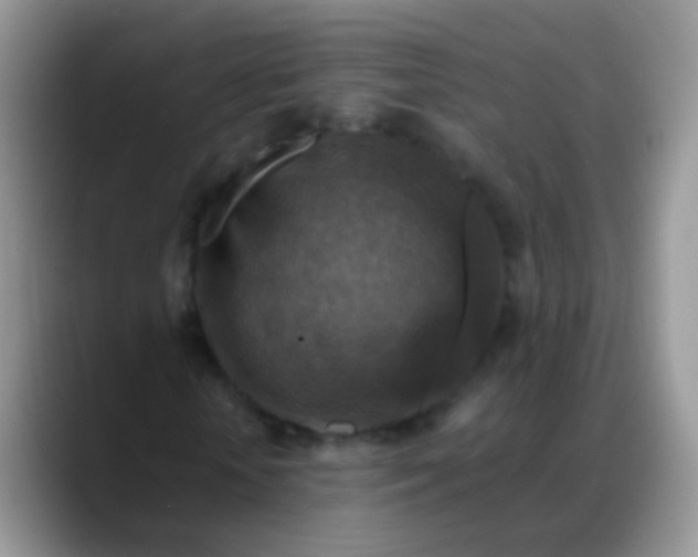 X0000088190818200705292010