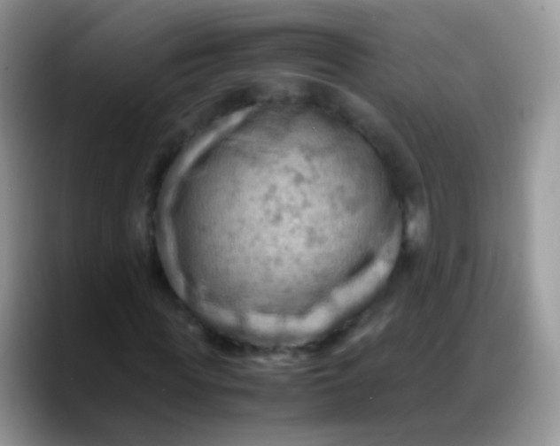 X0000088190819200705292010