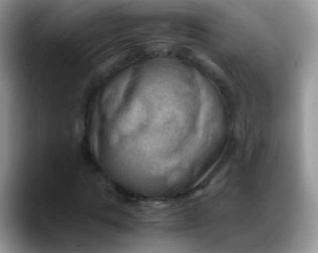 X0000088190821200705292010