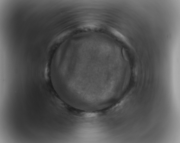 X0000088190822200705292010