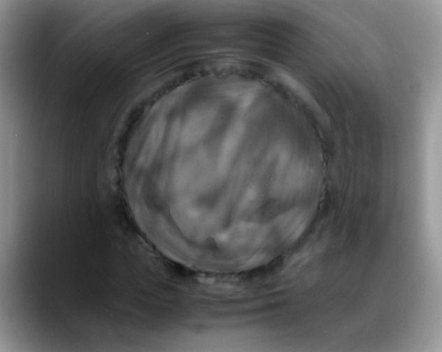 X0000088190823200705292010