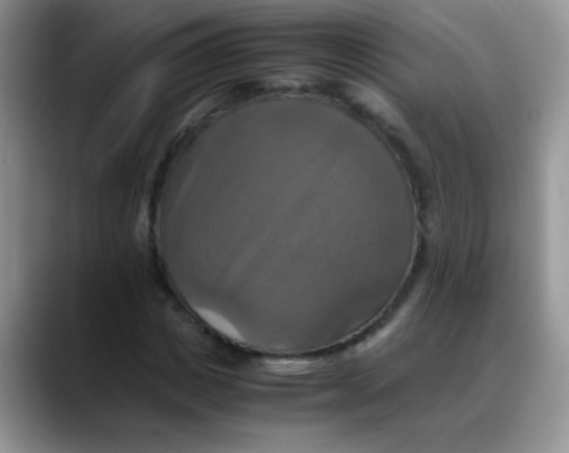 X0000088190825200705292010