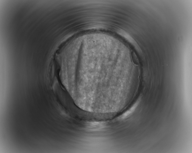 X0000088190826200705292010