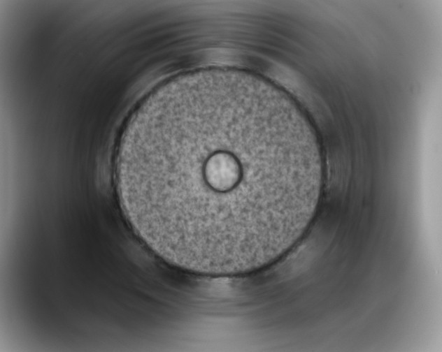 X0000088190828200705292010
