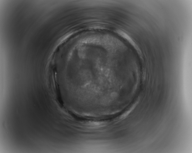 X0000088190829200705292010