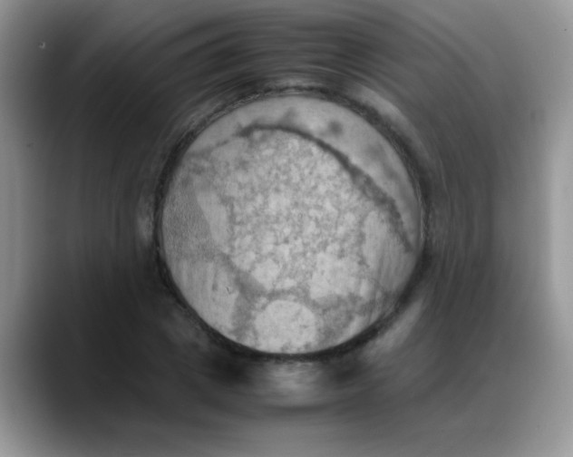 X0000088190833200705292010