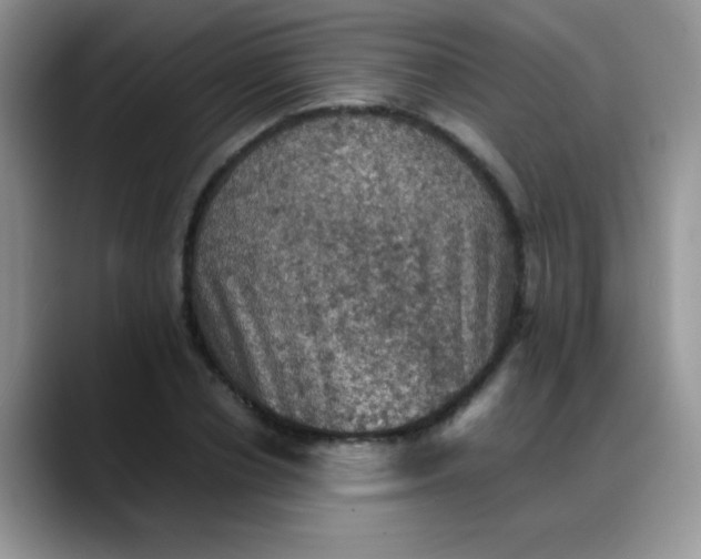 X0000088190834200705292010