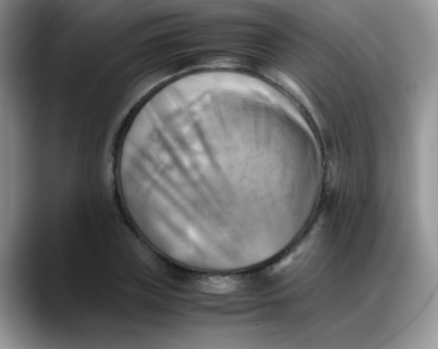X0000088190835200705292010