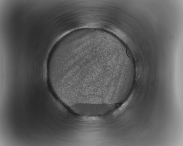X0000088190838200705292010