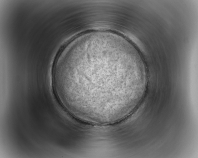 X0000088190840200705292010