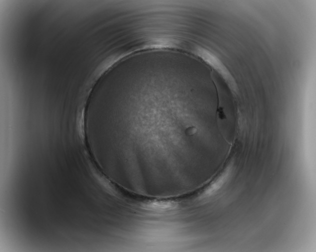 X0000088190842200705292010