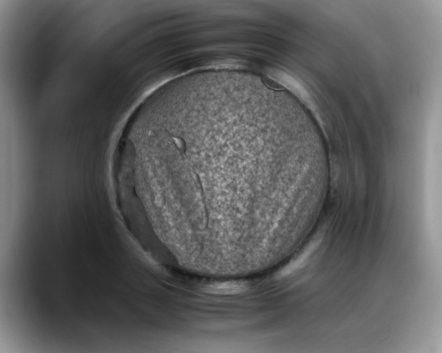 X0000088190843200705292010