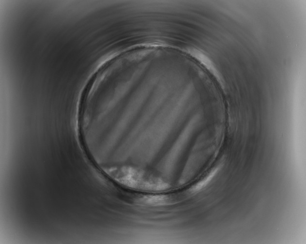 X0000088190845200705292010