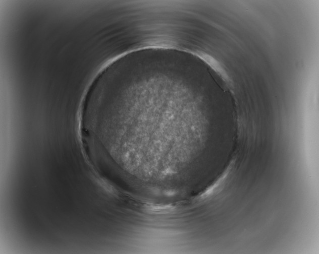 X0000088190846200705292010