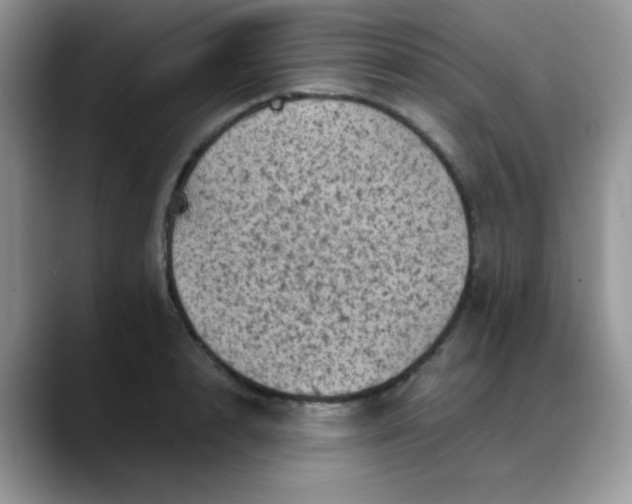 X0000088190848200705292010