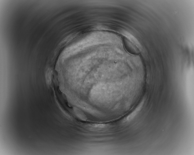 X0000088190849200705292010