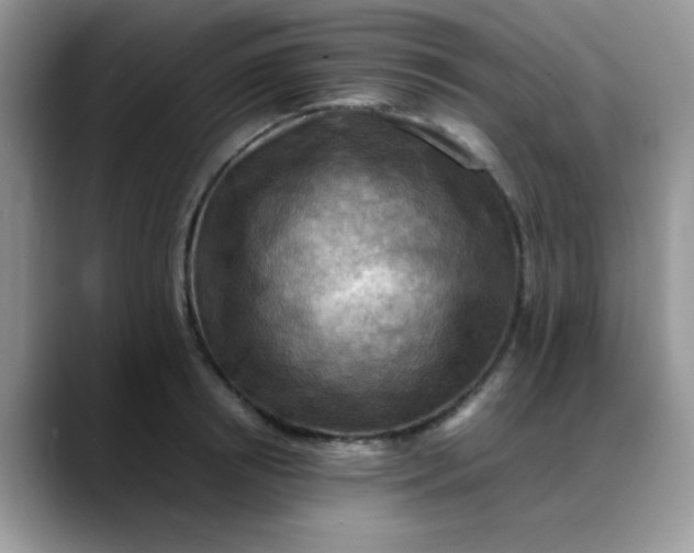 X0000088190850200705292011