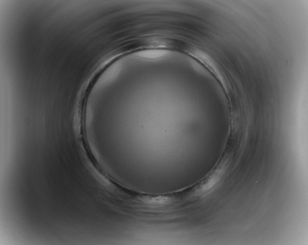 X0000088190851200705292011