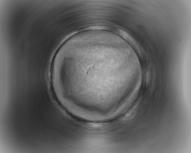 X0000088190852200705292011