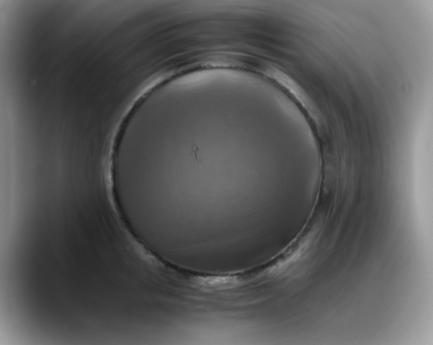 X0000088190853200705292011