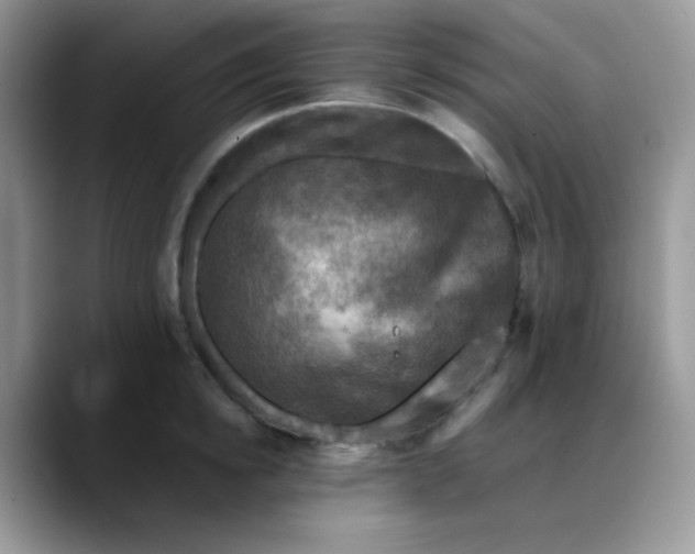 X0000088190854200705292011