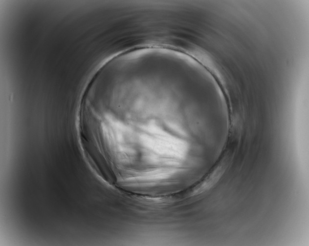 X0000088190855200705292011