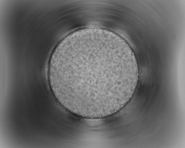 X0000088190856200705292011