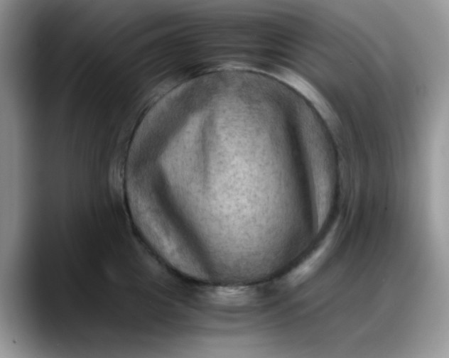X0000088190857200705292011