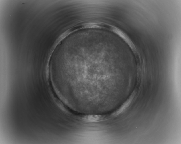 X0000088190858200705292011