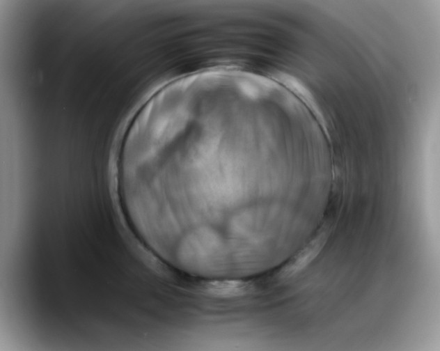 X0000088190859200705292011