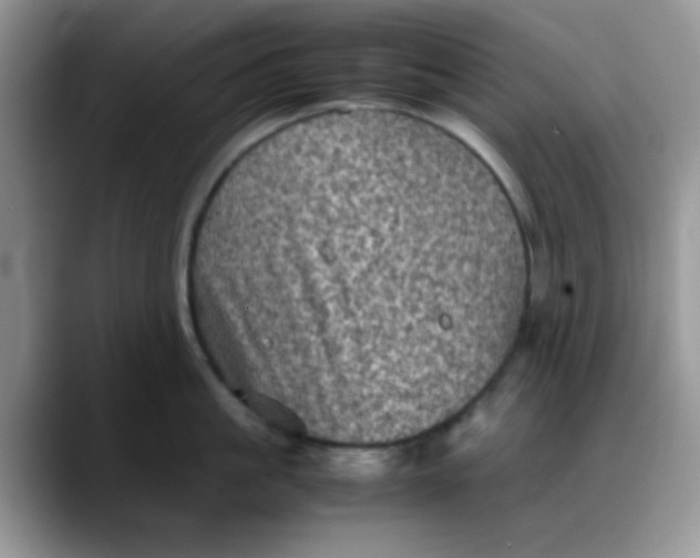 X0000088190861200705292011