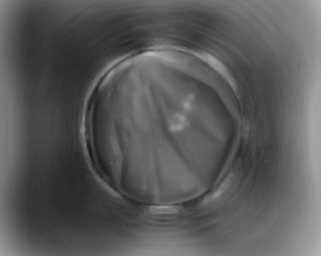 X0000088190863200705292011