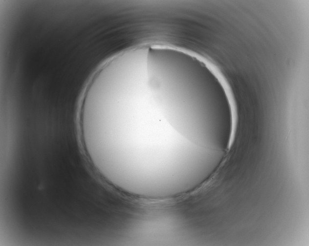 X0000088190864200705292011