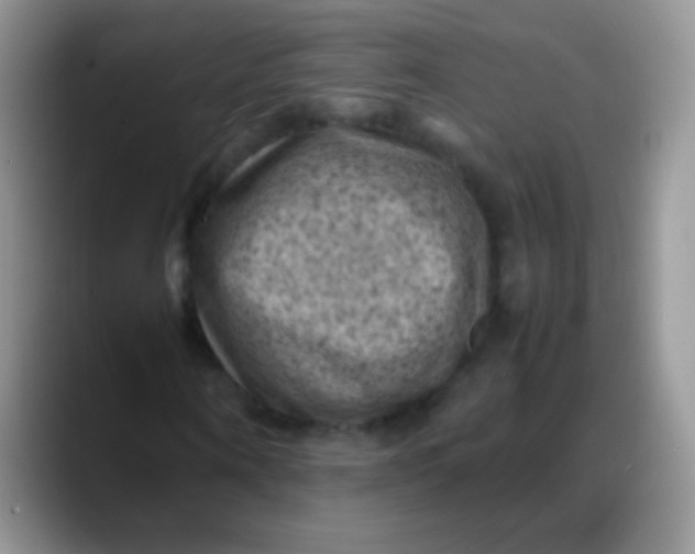 X0000088190866200705292010