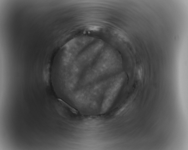 X0000088190868200705292010