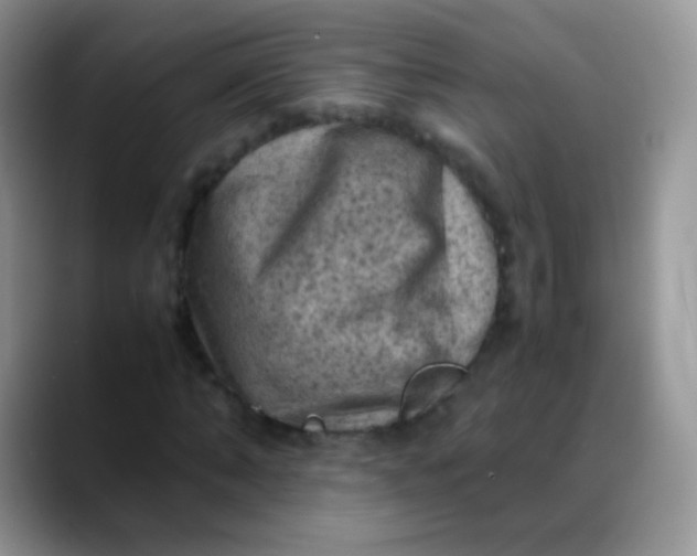 X0000088190870200705292010