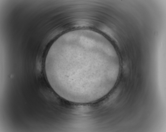 X0000088190874200705292010