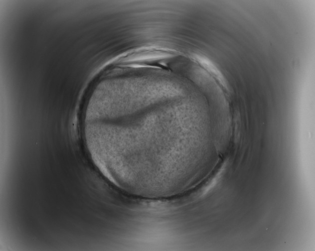 X0000088190876200705292010