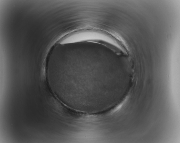 X0000088190877200705292010
