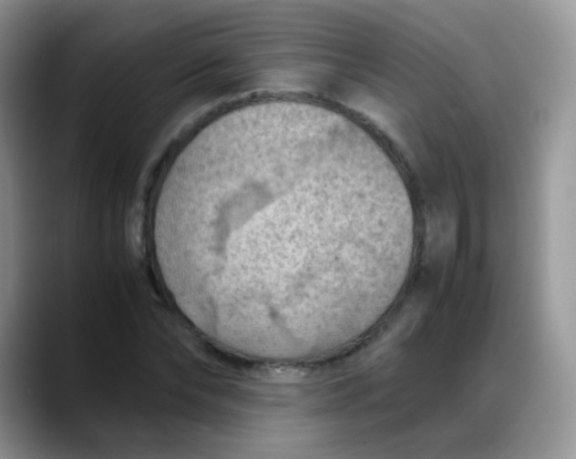 X0000088190878200705292010