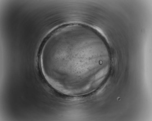 X0000088190879200705292010