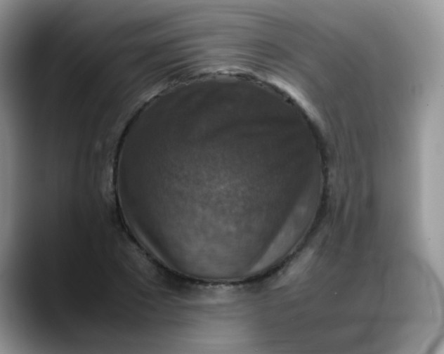 X0000088190881200705292010