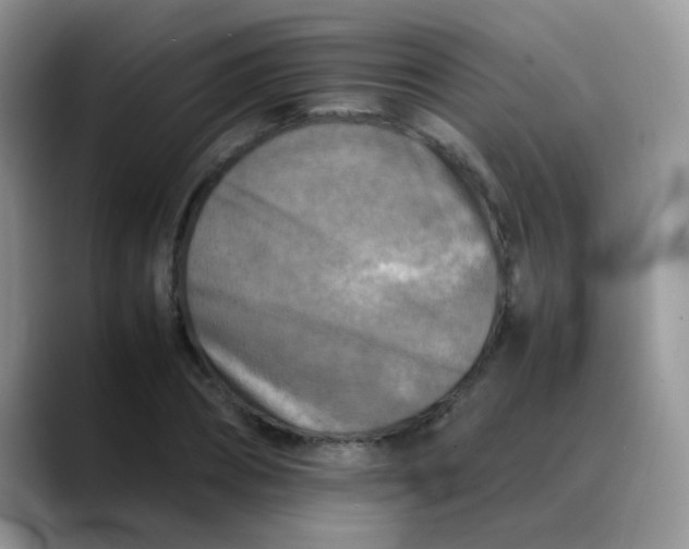 X0000088190882200705292010