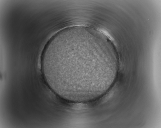 X0000088190883200705292010