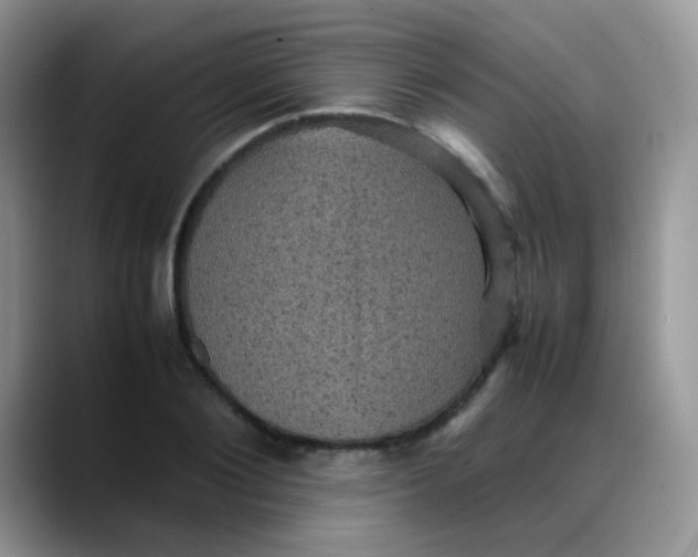 X0000088190884200705292010