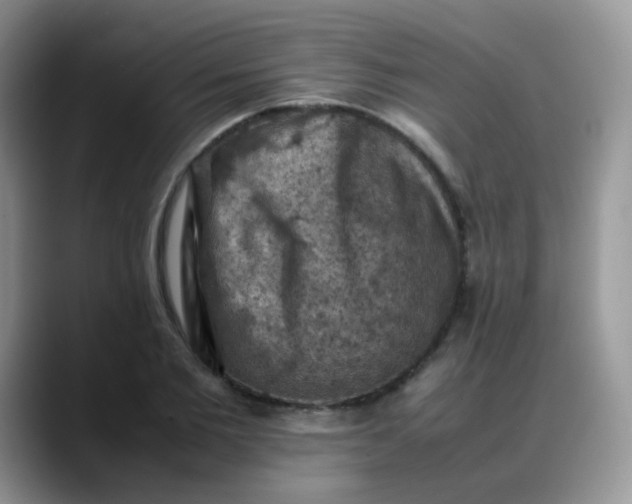 X0000088190885200705292010
