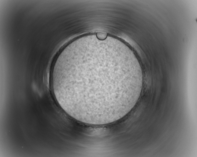 X0000088190886200705292010