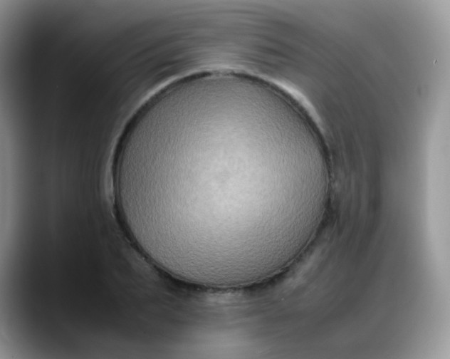 X0000088190887200705292010
