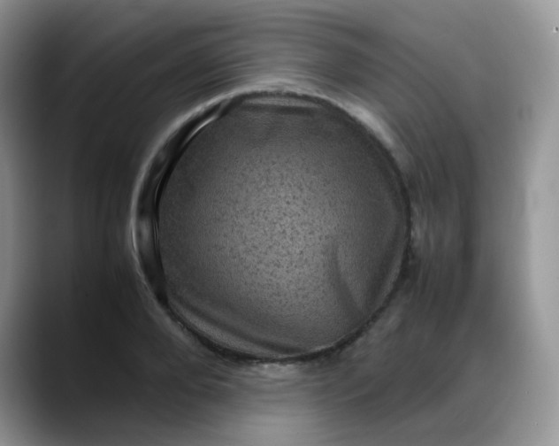 X0000088190888200705292010