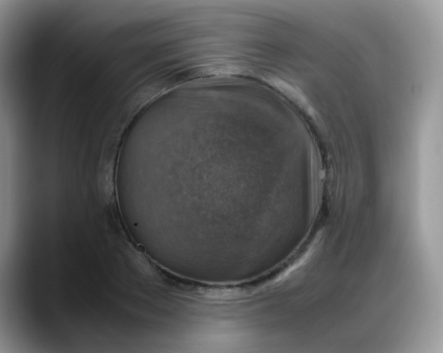 X0000088190889200705292010